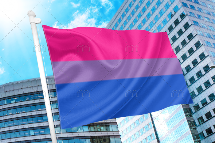 Bisexual Pride Flag - Bi Flag PN0112 2x3ft (60x90cm) / 2 Grommets Official PAN FLAG Merch