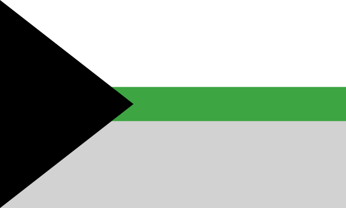 3x5 ft (90x150 cm) Official PAN FLAG Merch