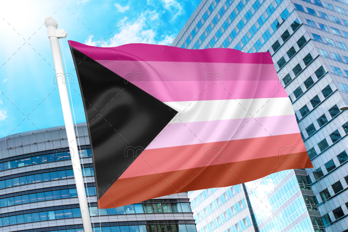 Lesbian Demisexual Flag PN0112 2x3ft (60x90cm) / 2 Grommets left Official PAN FLAG Merch